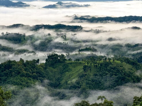 Credit: MD Maruf Hassan/E+/Getty Images