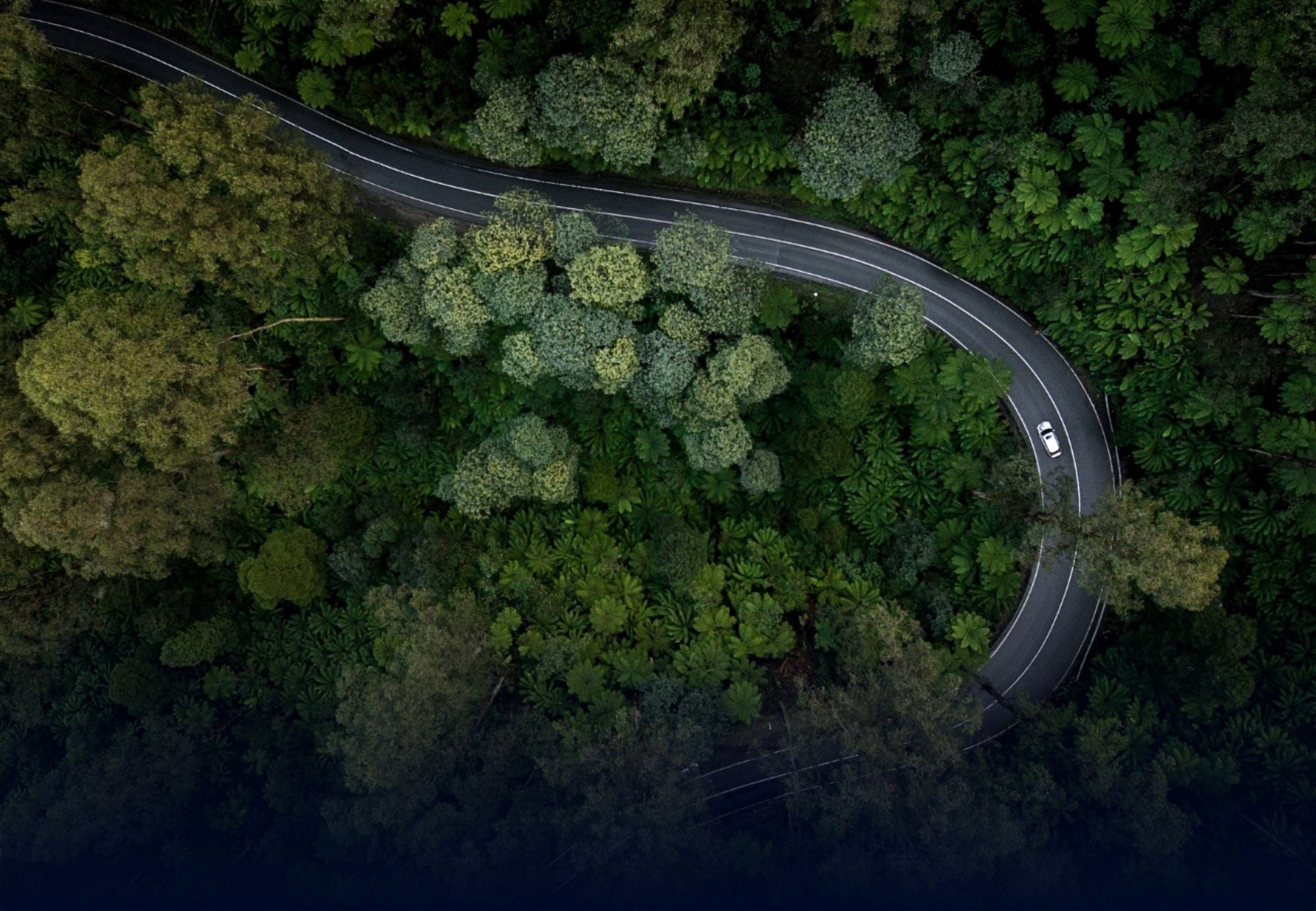 Focal Point Positioning launches Precise+ for sub-meter GNSS accuracy in challenging environments
