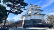 Odawara Castle, Japan. (Credit: Akonnchiroll/CC BY 4.0)